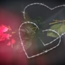 मन की तारों