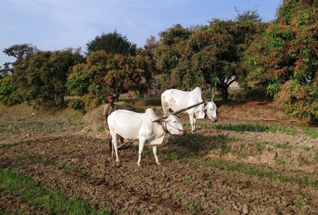 आँधी 35 आँधी