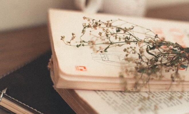 गीतों की पालकी