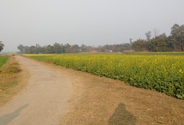 त्रिलोचन को जाकर देखा मैंने उनके गाँव में 33 त्रिलोचन शास्त्री