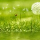 हमें सिखा देंगे