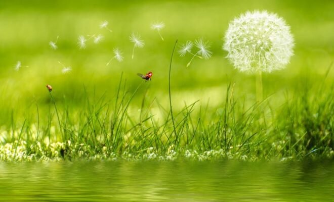 हमें सिखा देंगे