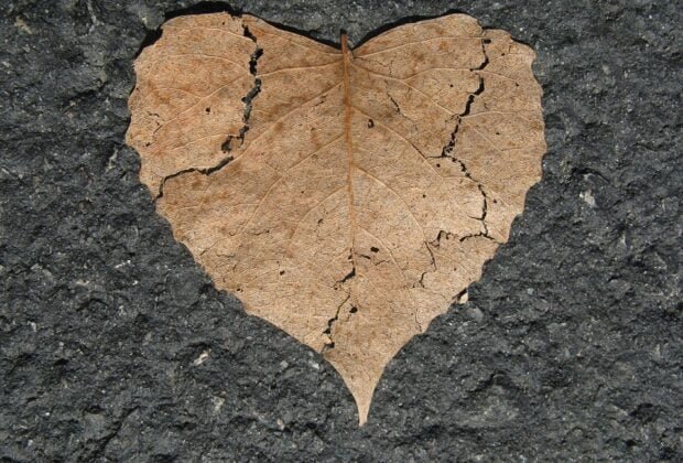 दर्द ज्यादा है