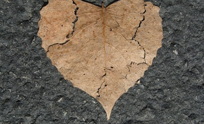 दर्द ज्यादा है 39 दर्द ज्यादा है